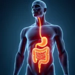 Gdzie boli trzustka? Rysunek i objawy bólu trzustki