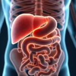 Gdzie jest woreczek żółciowy? Funkcje i choroby pęcherzyka