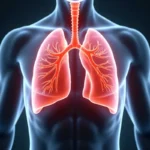 Gdzie są płuca? Anatomia, funkcje i zdrowie płuc