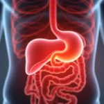 Śledziona: Objawy, Ból i Rysunki Anatomii